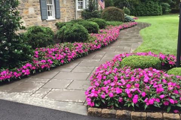 Flower Boarder walkway