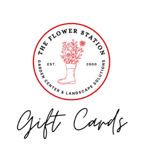 Gift Certificates