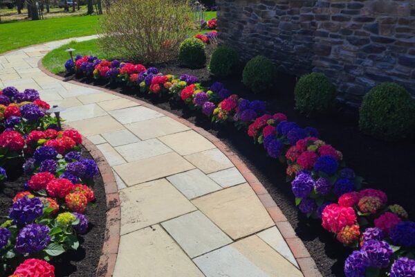 Beautiful walkway with a flower border by The Flower Station